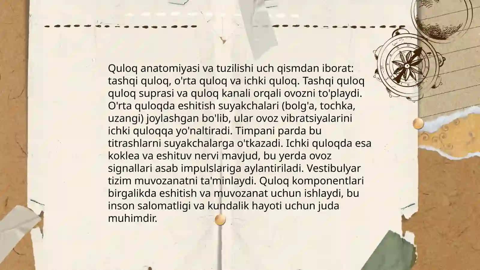 Inson Eshitish Organlari 4