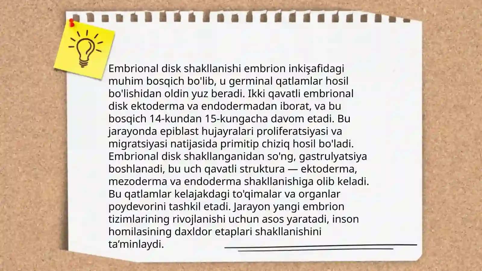 Odam embriologiyasining asoslari 4