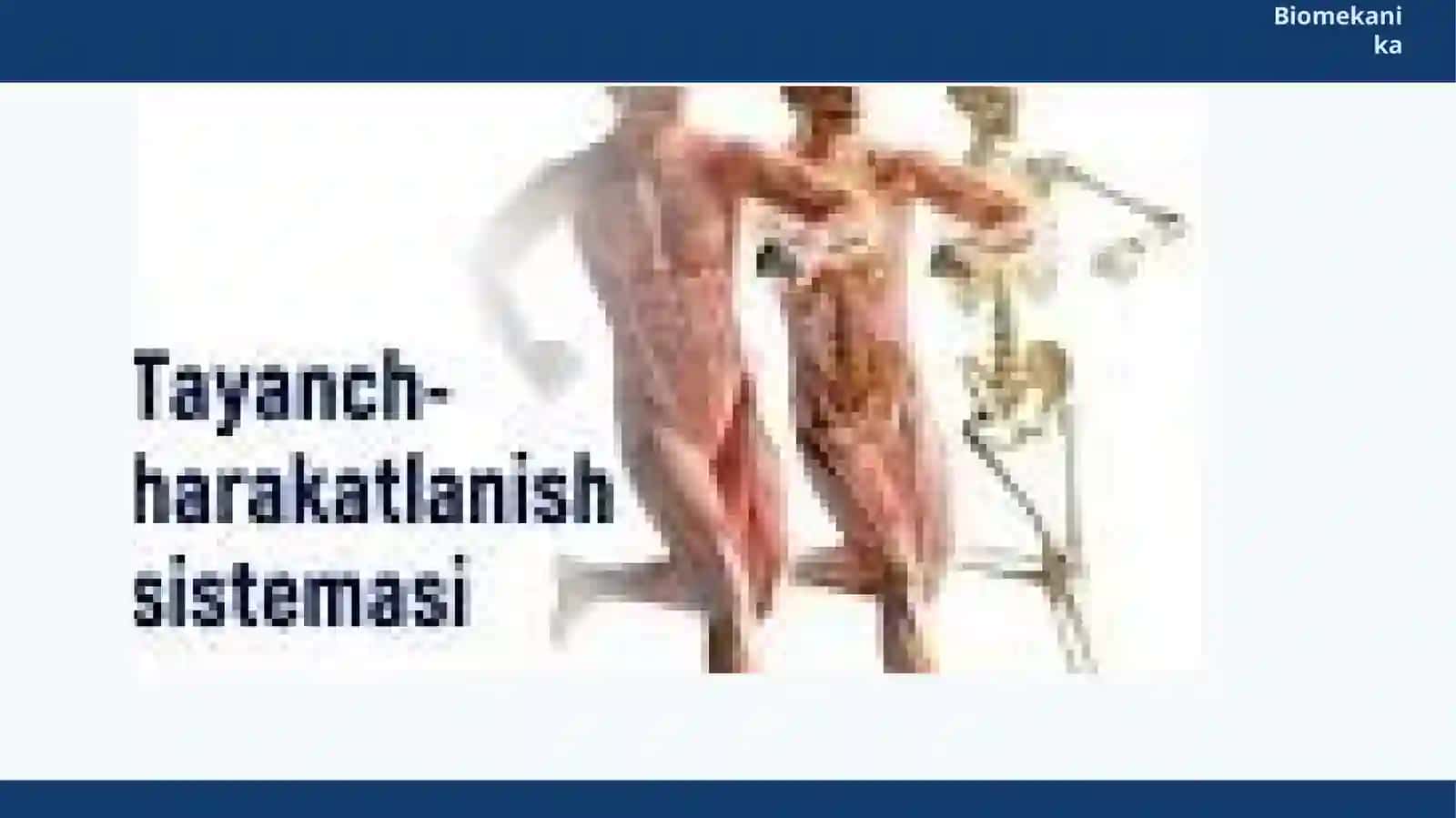 Biomexanika va biomexanik sistema tushunchasi 4