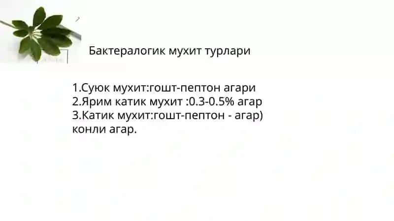 Бактералогик муҳит таёрлаш 4