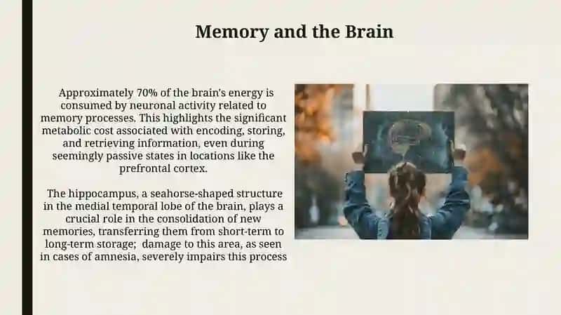 Memory and Learning 4