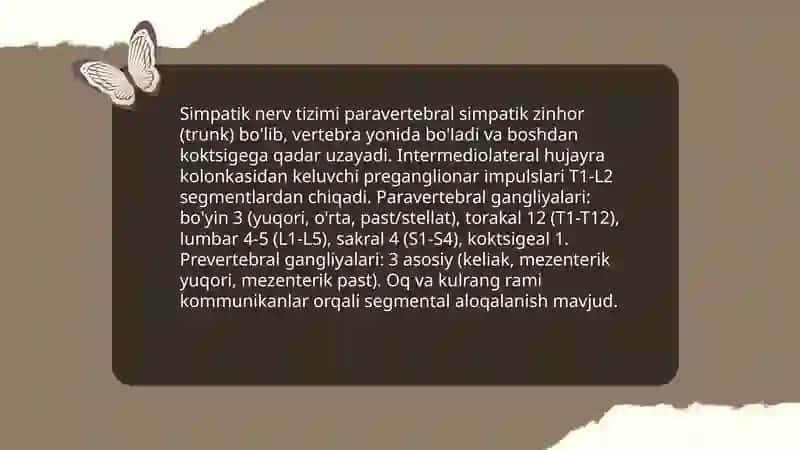 Vegetativ nerv sistemasi tuzilishi.Simpatik parasimpatik va metasimpatik nerv tizimlari 4