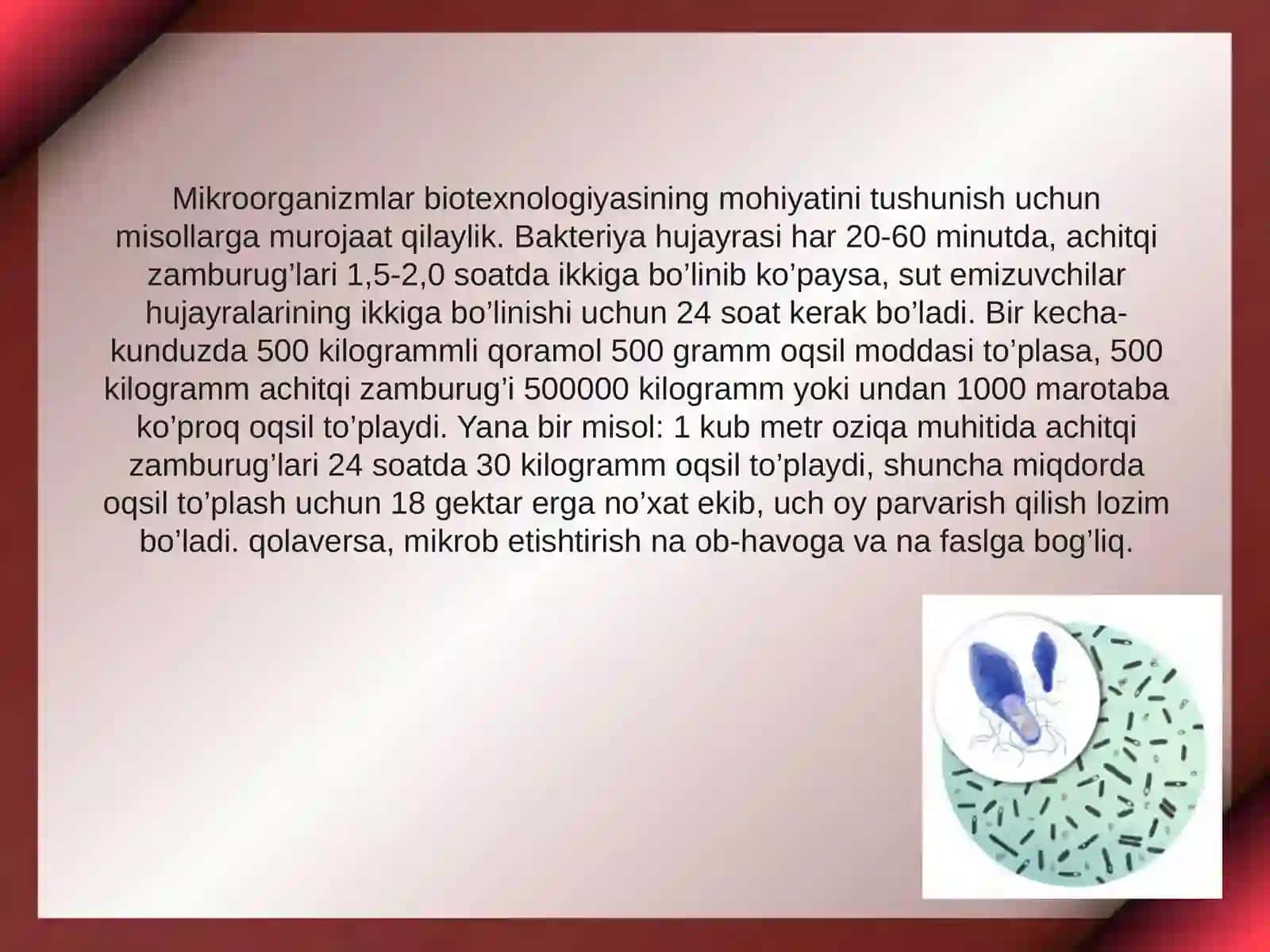 Mikroorganizmlar biotexnologiyasi 4