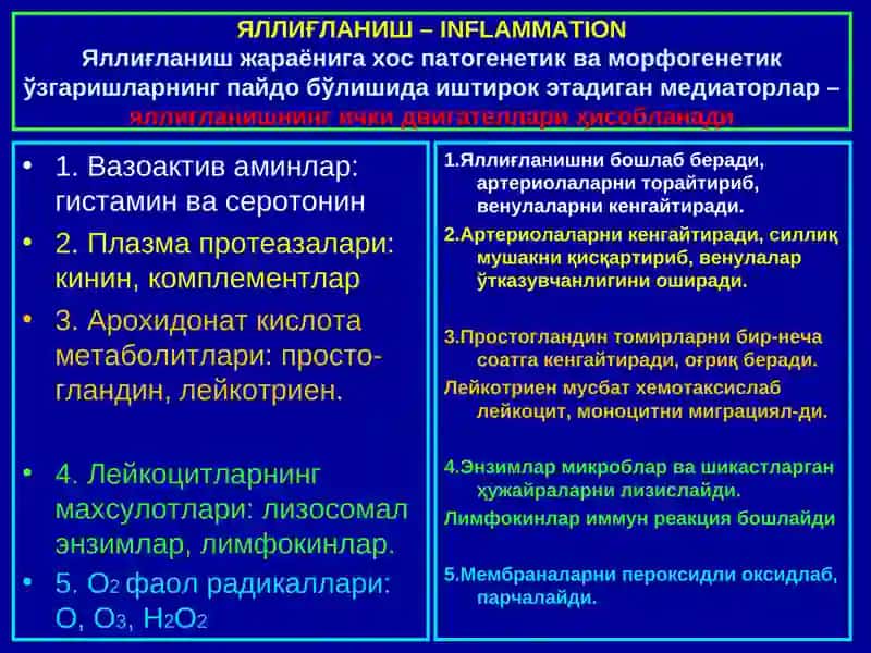 Яллиғланиш 4
