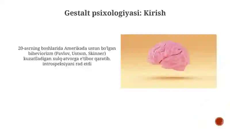 Psixologik maktablar 4