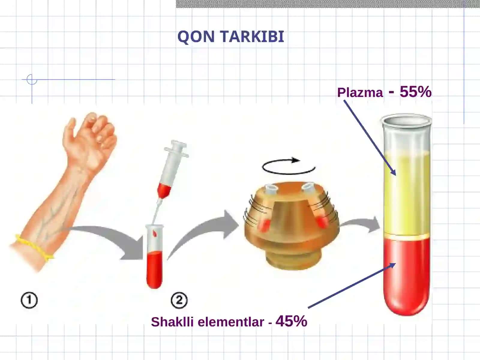 QON 4