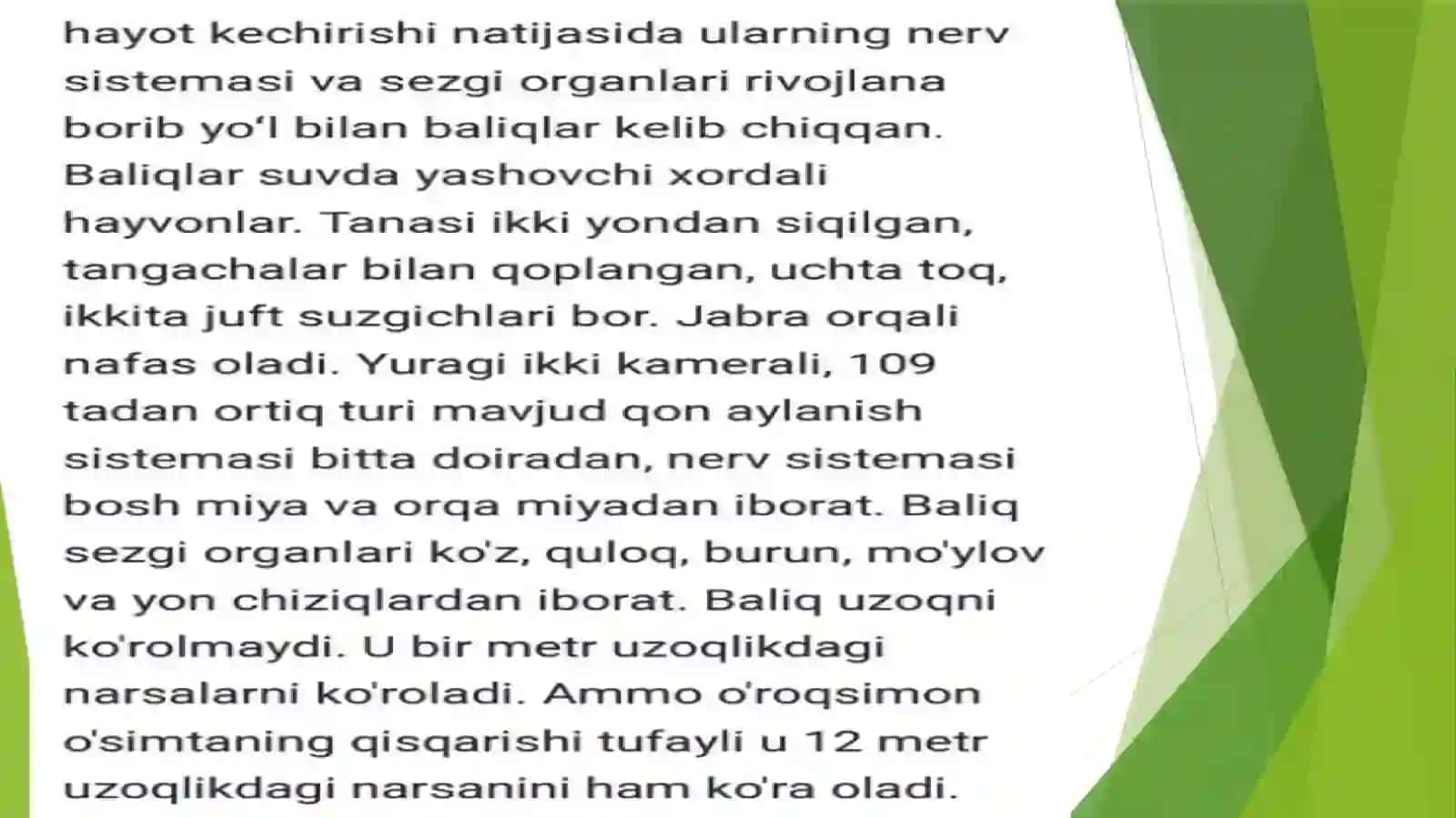 Baliqlar katta sinfi.Tog’ayi baliqlar sinfi.Akula va skatlarning tashqi va ichki tuzilishi 4