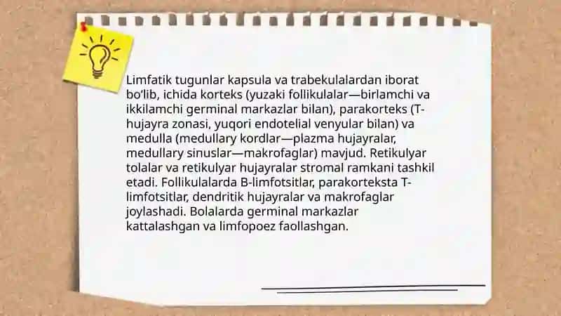 Bolalarda limfatik tugunlarning tuzilishi va rivojlanishi 4