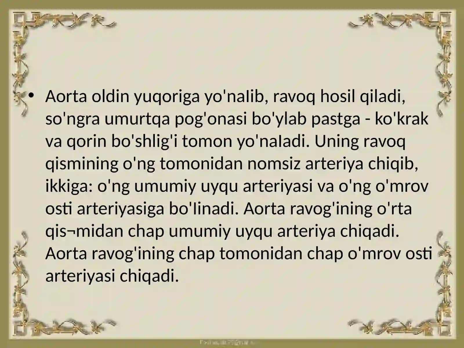 O`mrovosti, qo`ltiq, yelka, bilak sohasi arteriyalarining taraqqiyoti 4