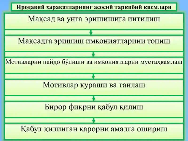 Ирода 4