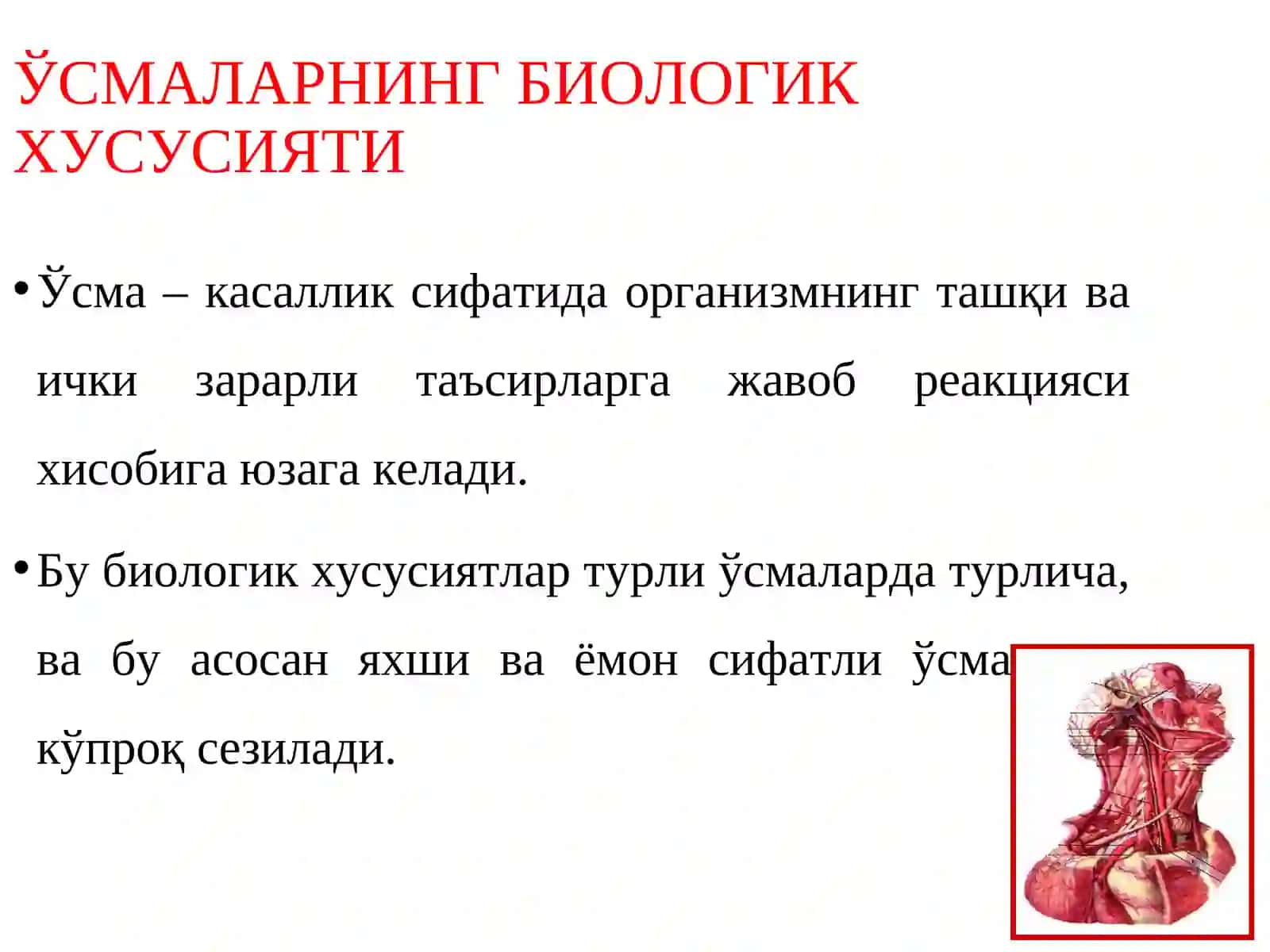 Злокачественные эпителиальные опухоли челюстей 4