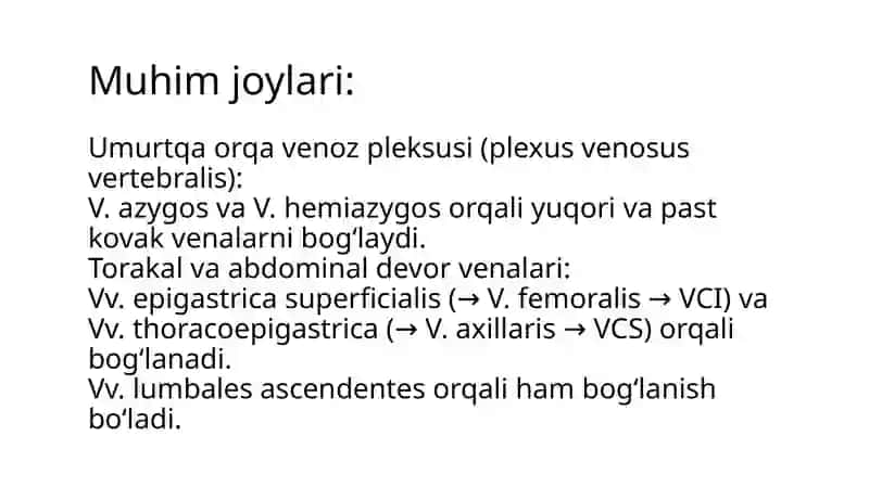 Kava-kavalporto-kavalanastomozlar 4