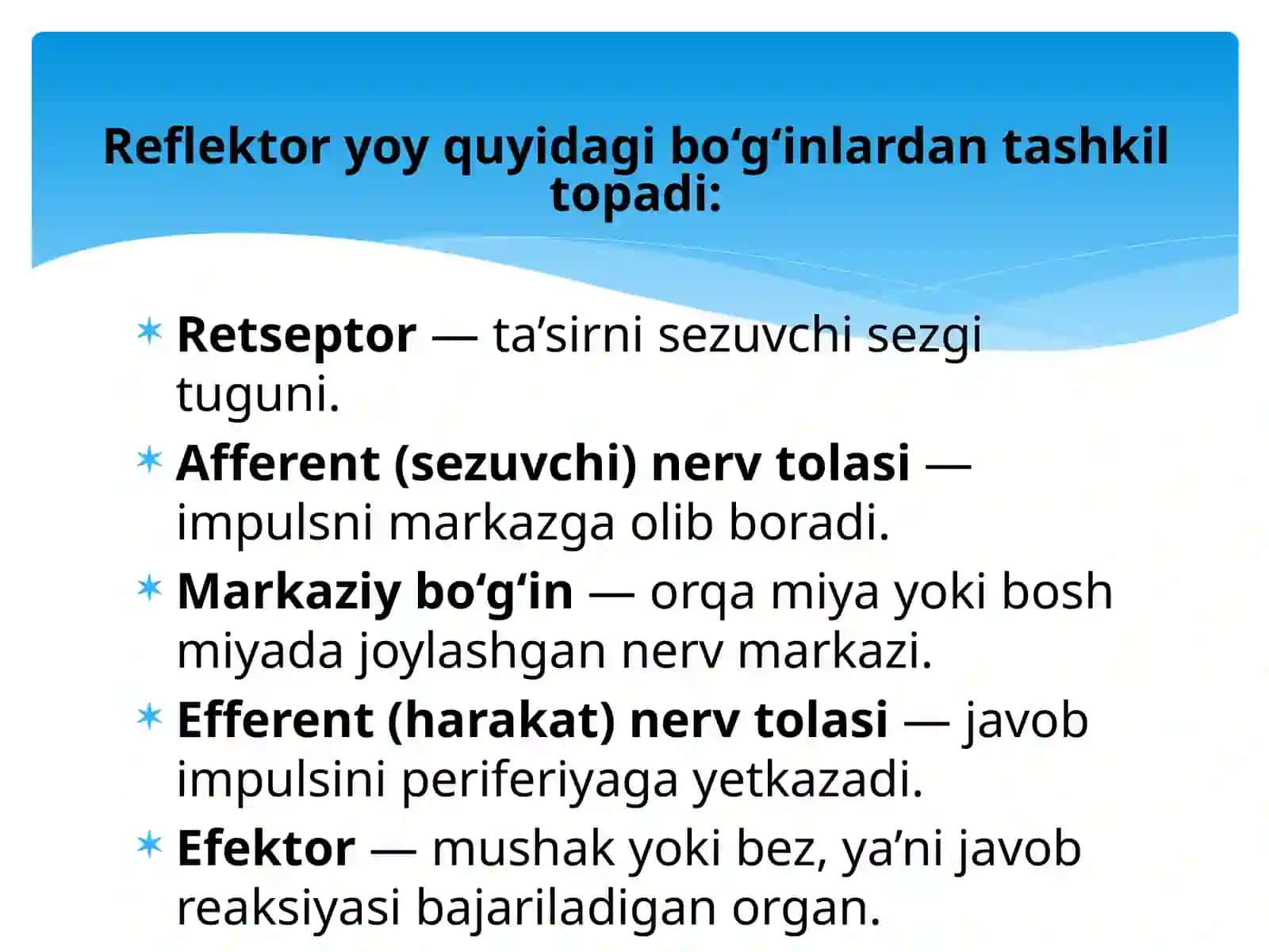 Mavzu: Reflektor yoyini tahlil qilish.Odam va hayvonlarda orqa miya reflekslari. 4