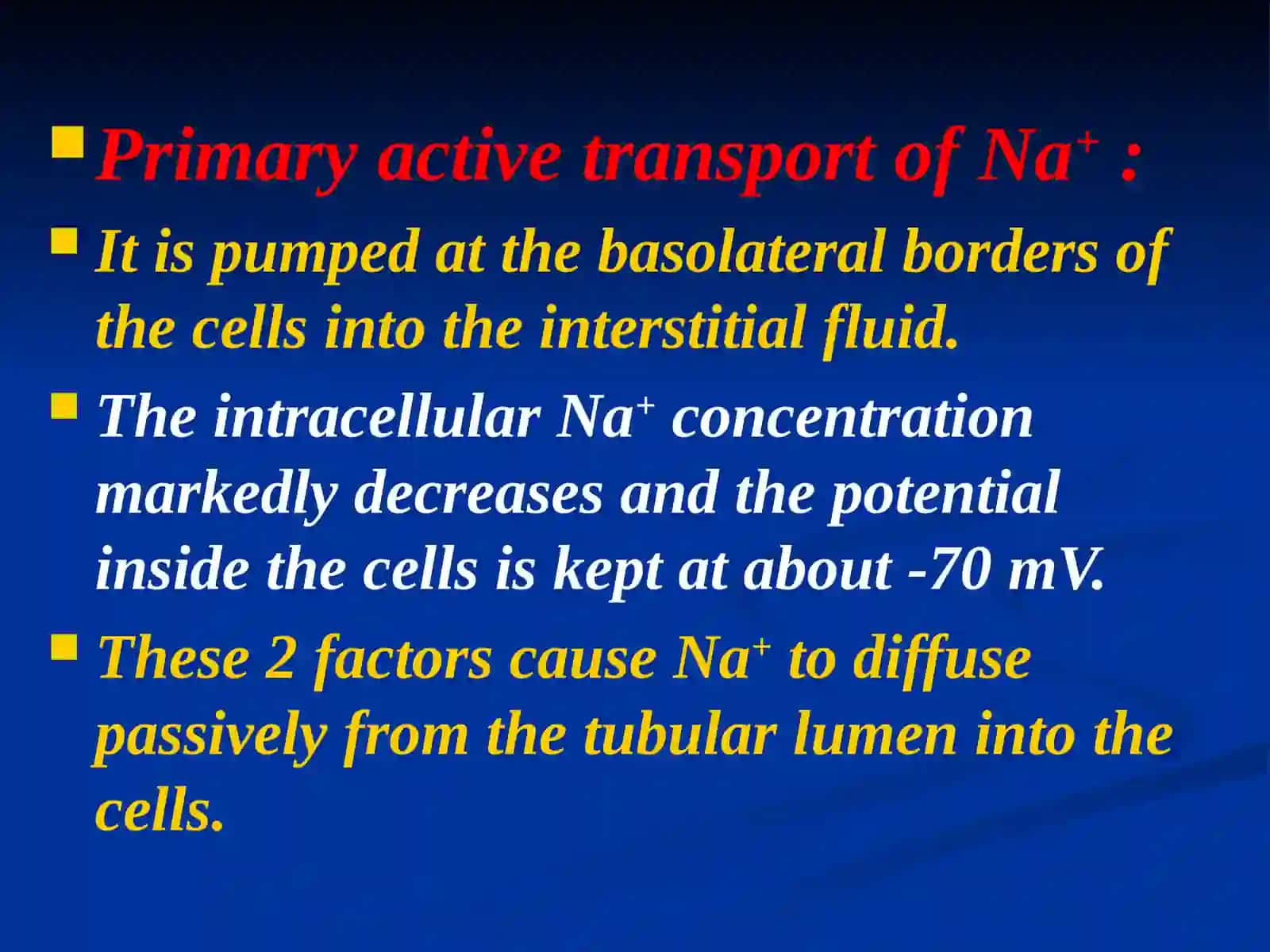 Function of Renal Tubules 4