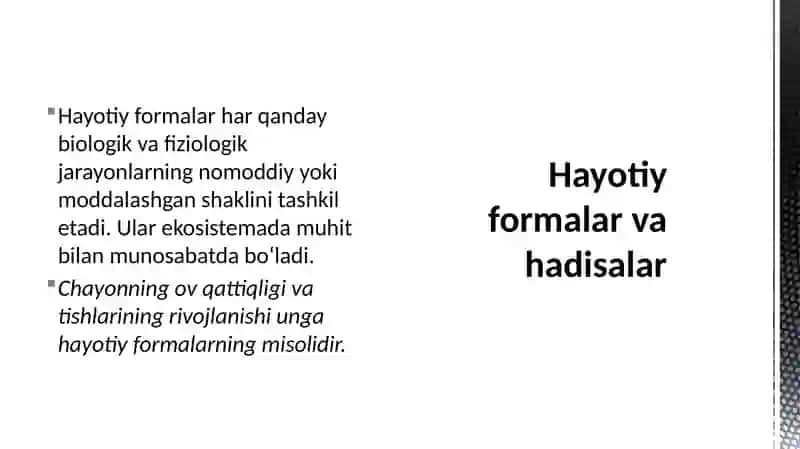 Hayotiy forma tushinchalari 4