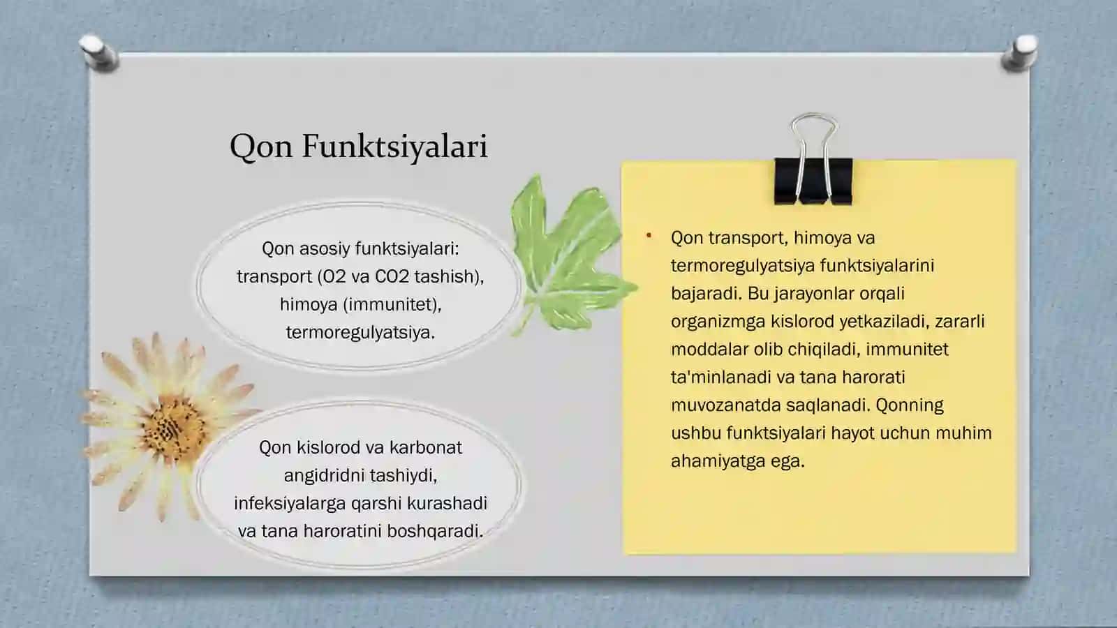 Qontizimiying yoshga oid xususiyatlari va gigiyenasi 4