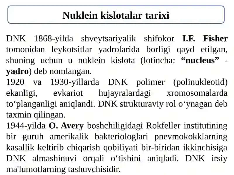 Nuklein Kislotalar 4