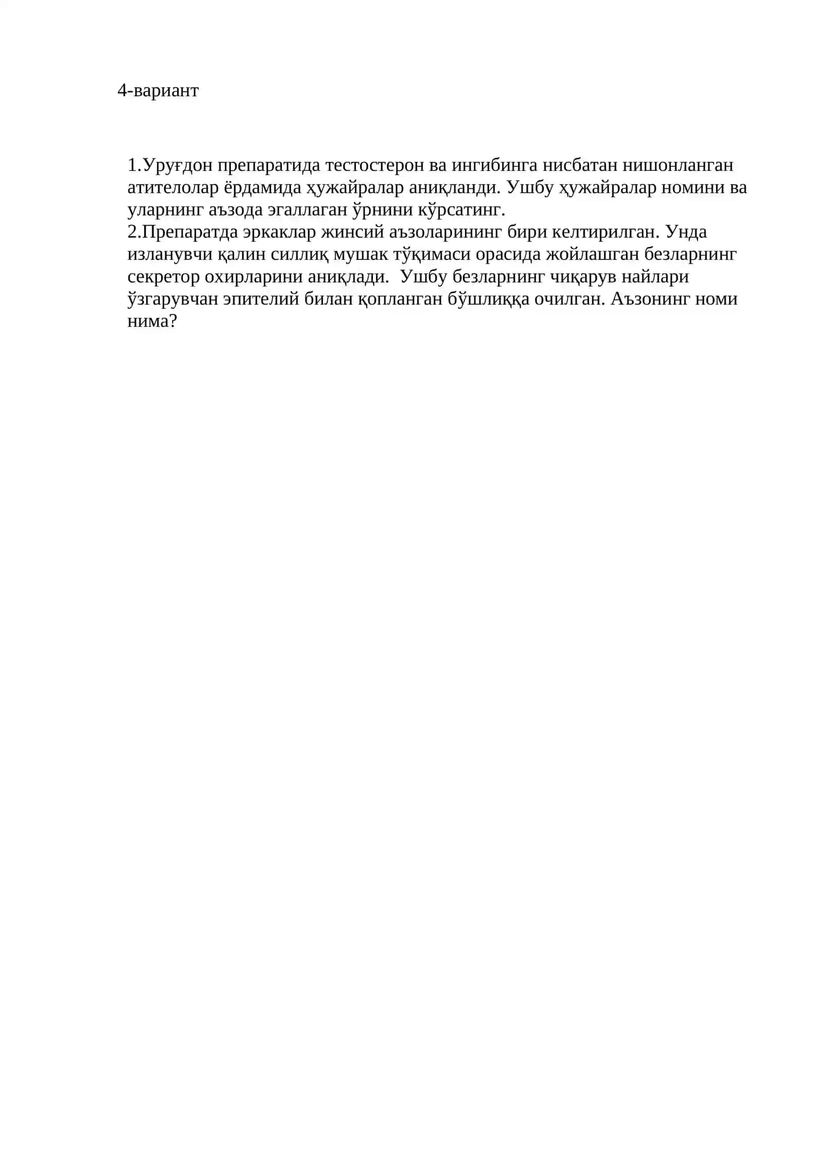 Сперматоген епителийнинг битта ҳужайраси 4