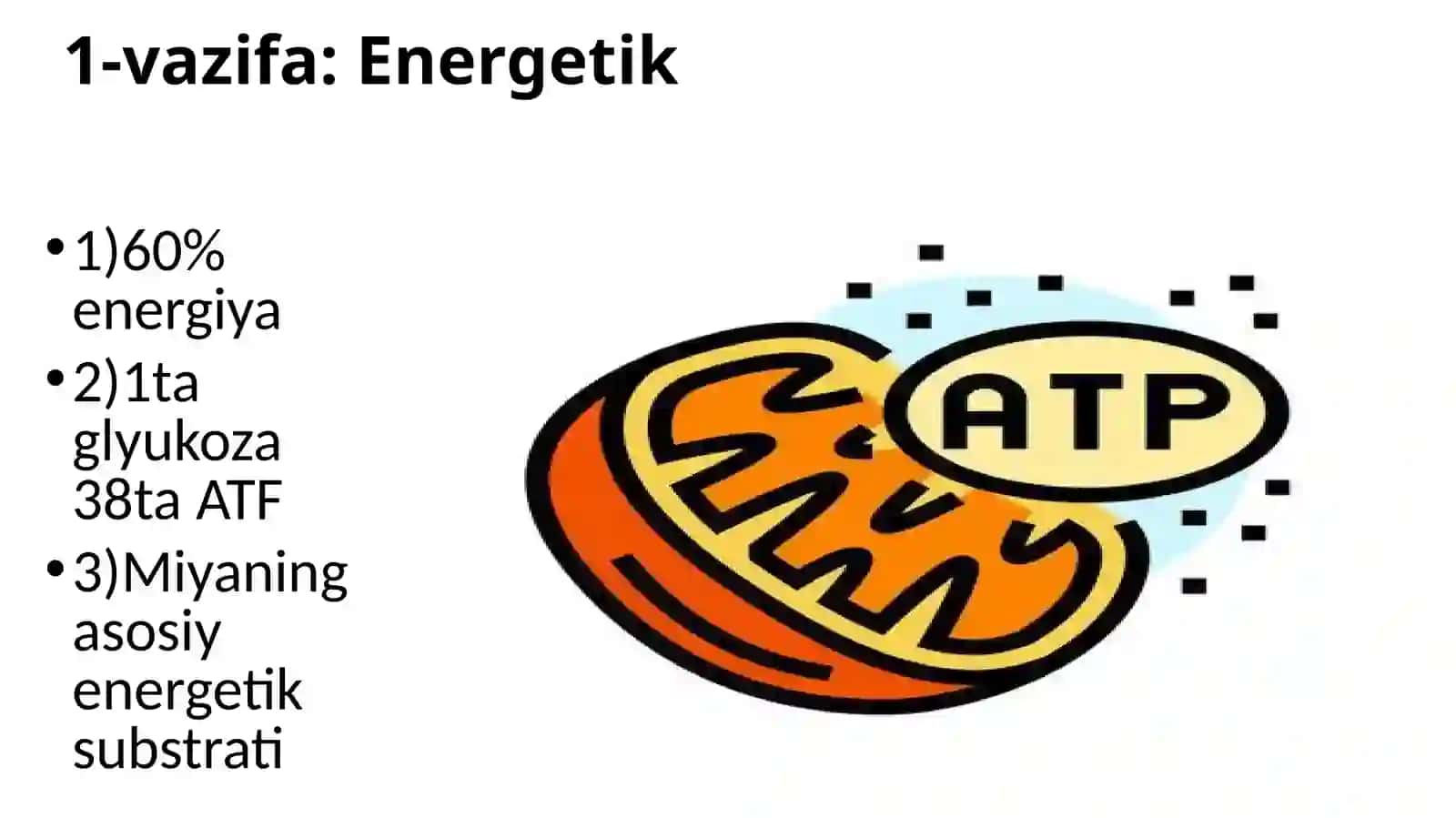 UglevodlaralmashinuviKamolaAlijanovna 4