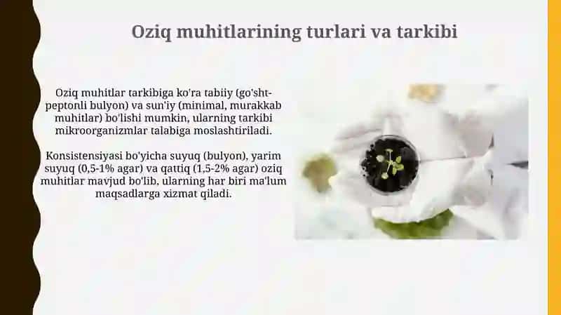 Mikroorganizmalar uchun oziq muhitlar. Sof kultura ajratish 4