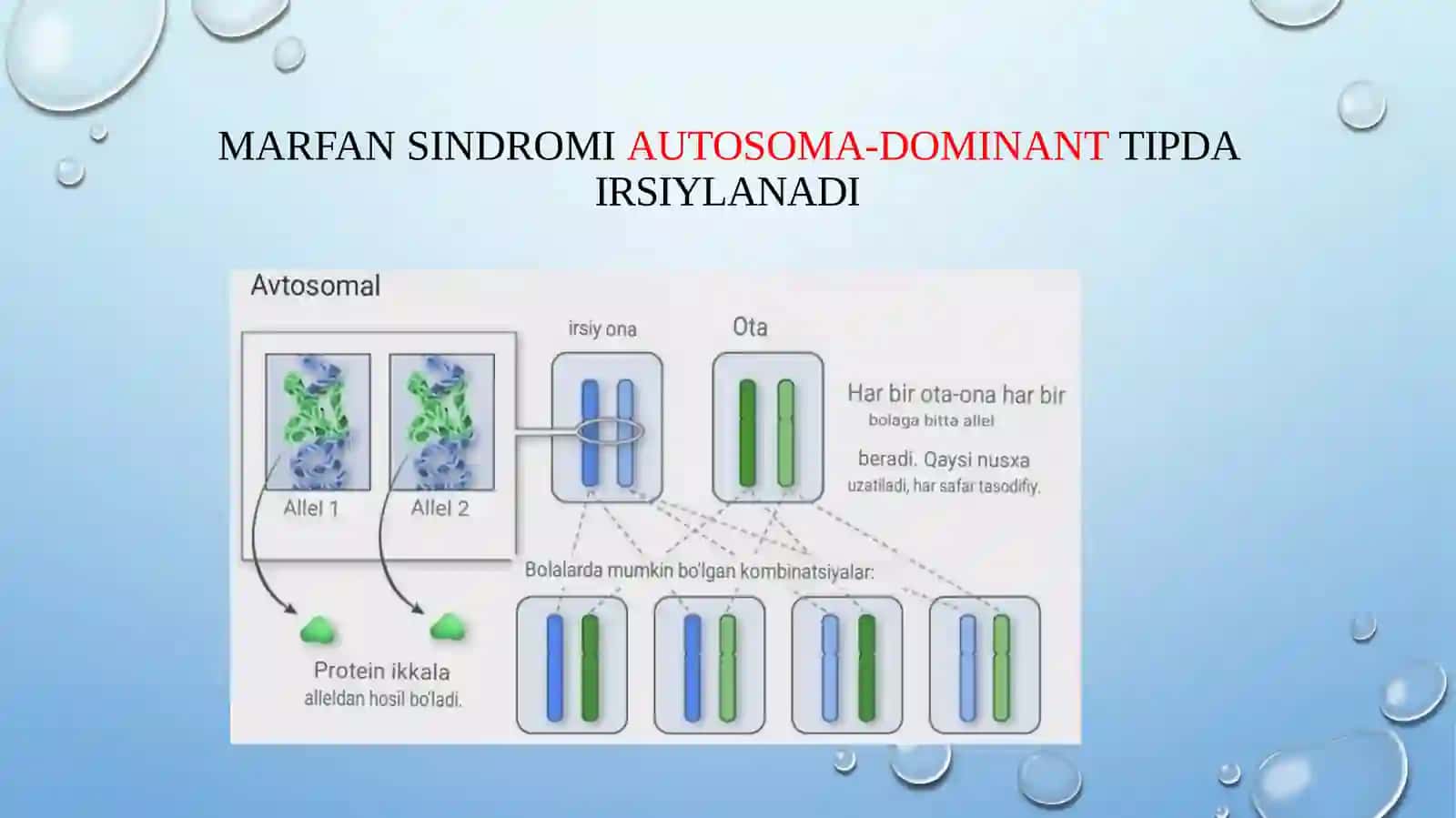 Marfansindromi 4