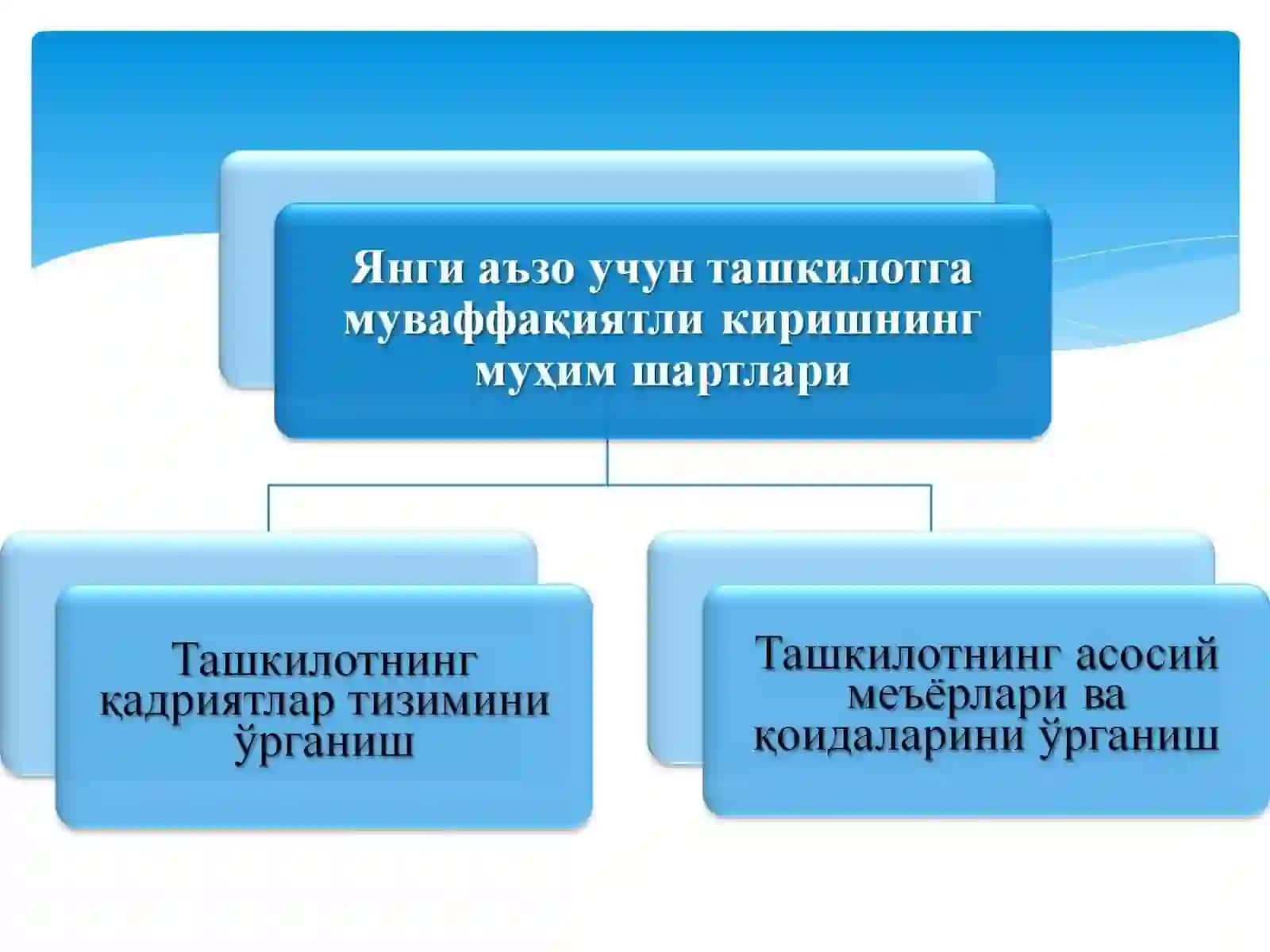 Inson va tashkilot 4