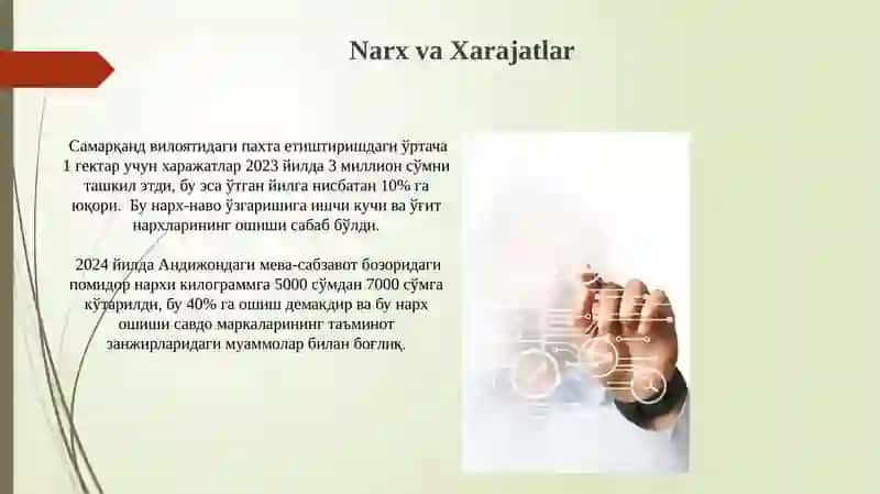 Ixtisoslashgan tizimlar 4