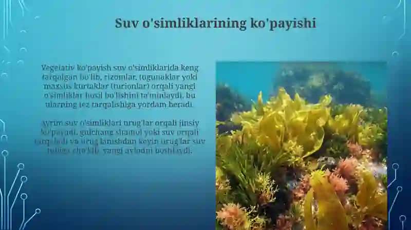 Suvoʻtlarning tuzilishi koʻpayishi vaaxamiyati 4