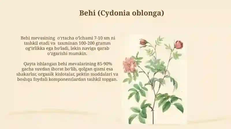 Ra'noguldoshlar (Rosaceae) Oilasi Vakillari 4