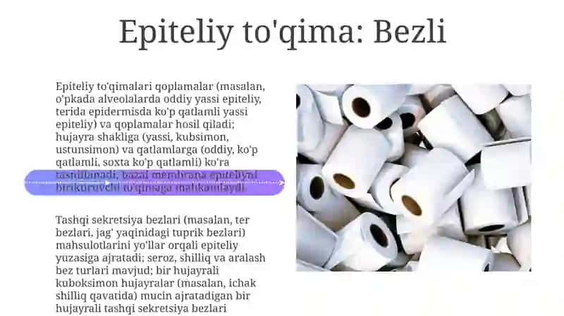 Yurak muskul to'qimasi 4