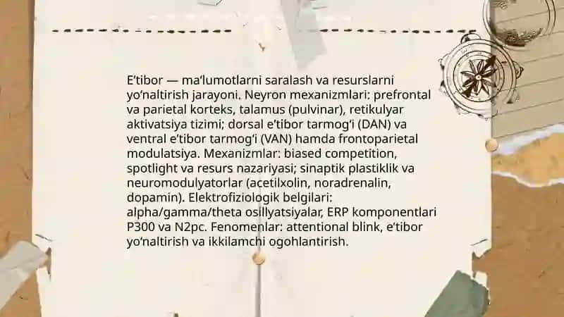 Psixik jarayonlar va miyaning oʻzaro aloqadorligi 4