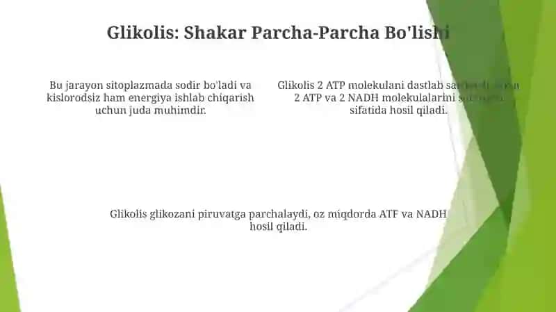 Metabolizm jarayonida energiya hosil boʻlishi va sarflanishi 4