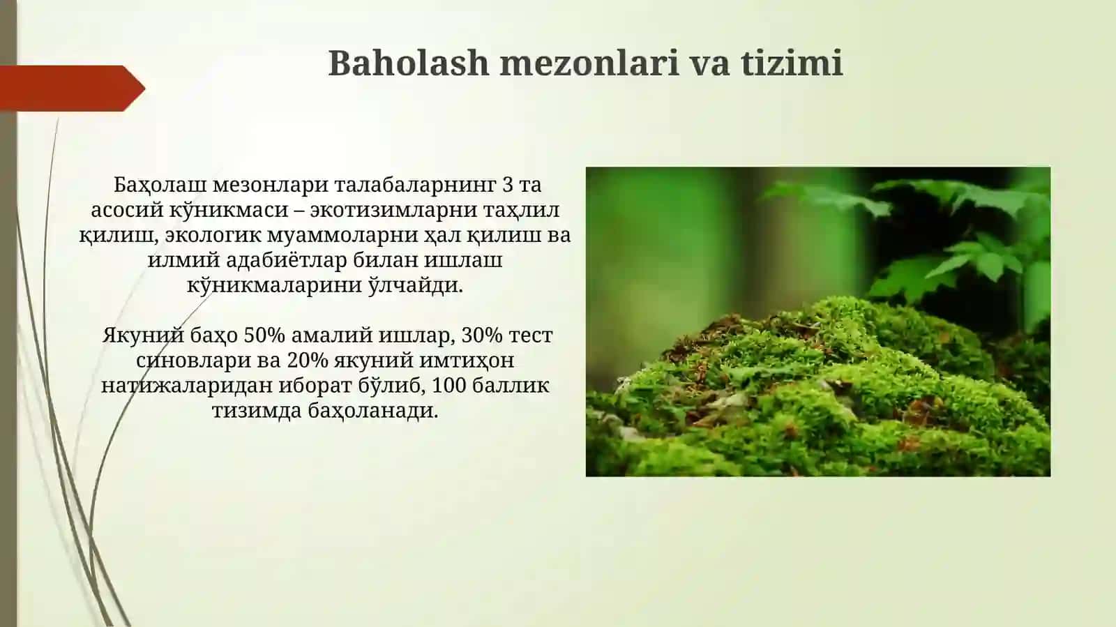 Ekologiya asoslari" mavzusini oʻrganish metodikasi darslar tizimi 4