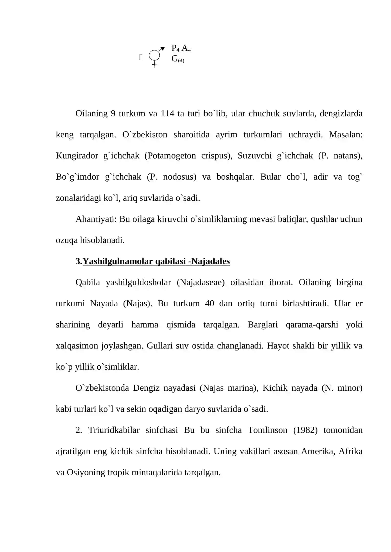 Bir pallali yoki Lolasimon o`simliklar sinfi-Monocotyledonae yoki Liliopsida 4