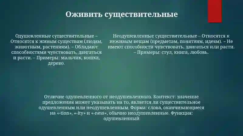 Одушевленные И Неодушевленные Имена Существительные 4