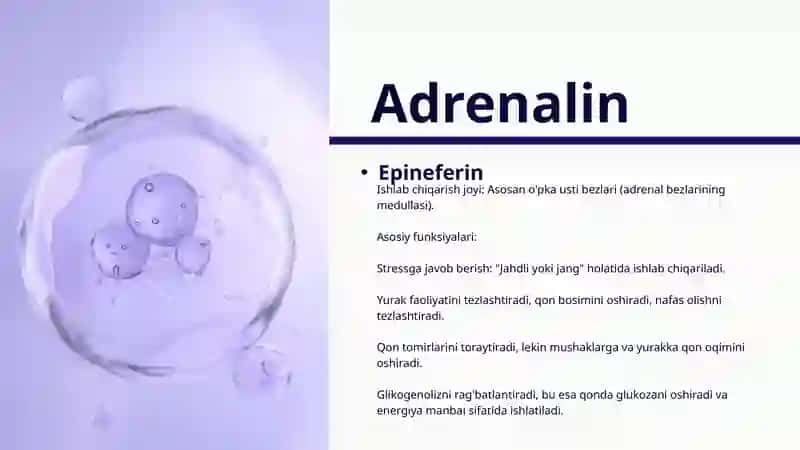 Katexolaminlar va Glyukokortikoidlarning Uglevodlar Almashunuviga Tasiri 4