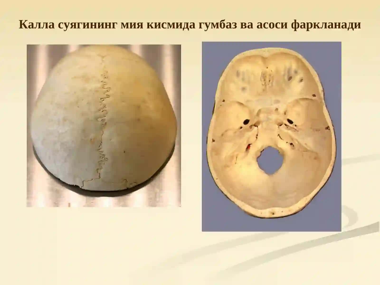 Калла суяги 4