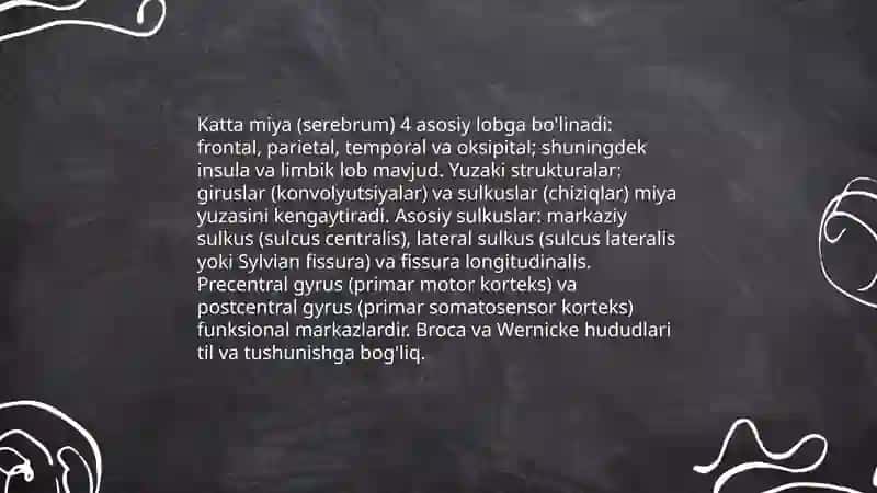 Nerv sistemasining tuzilishi markaziy nerv sestemasi 4