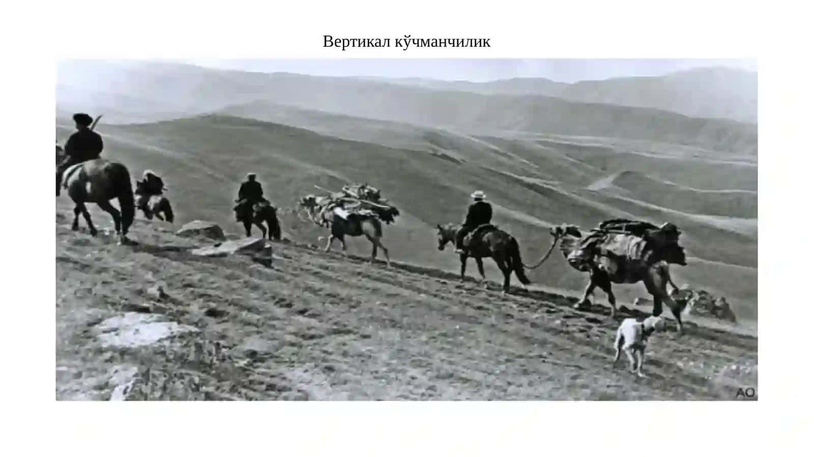 Кўчманчилар хўжалиги ва уларнинг турлари 4