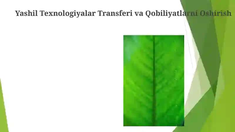 Yashil o'sish siyosati va tartibga solish mexanizmlari 4