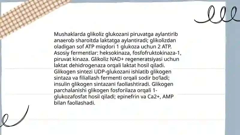 Organ va tòqimalarda uglevodlaming oraliq modda sifatida almashinuvi 4