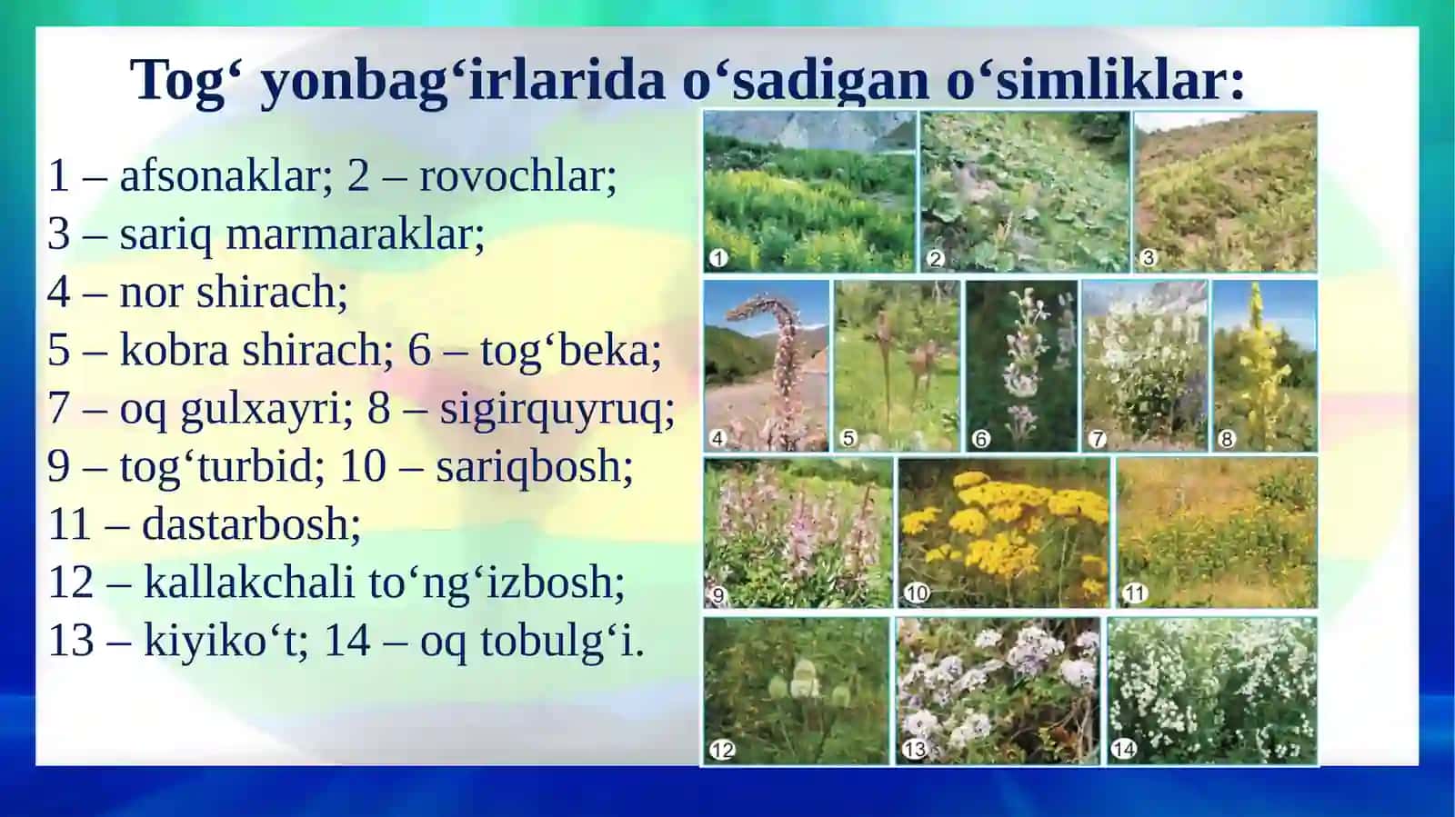 O‘ZBEKISTONDAGI TABIIY BOYLIKLAR VA TABIATNI MUHOFAZA QILISH 4
