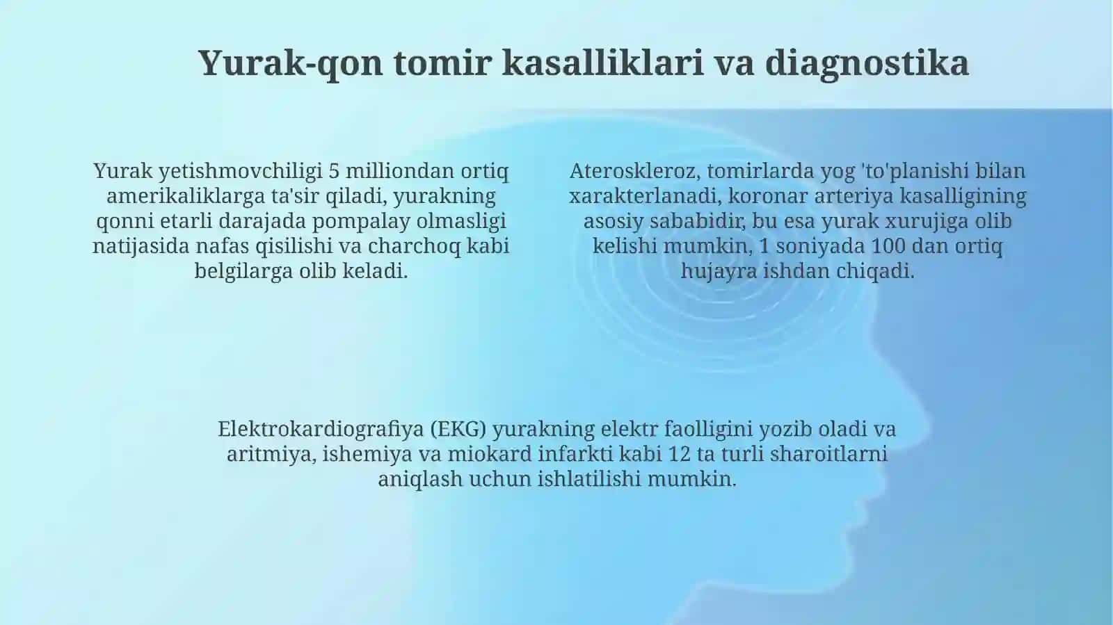 Yurak-qon tomir tizimi va modellari 4