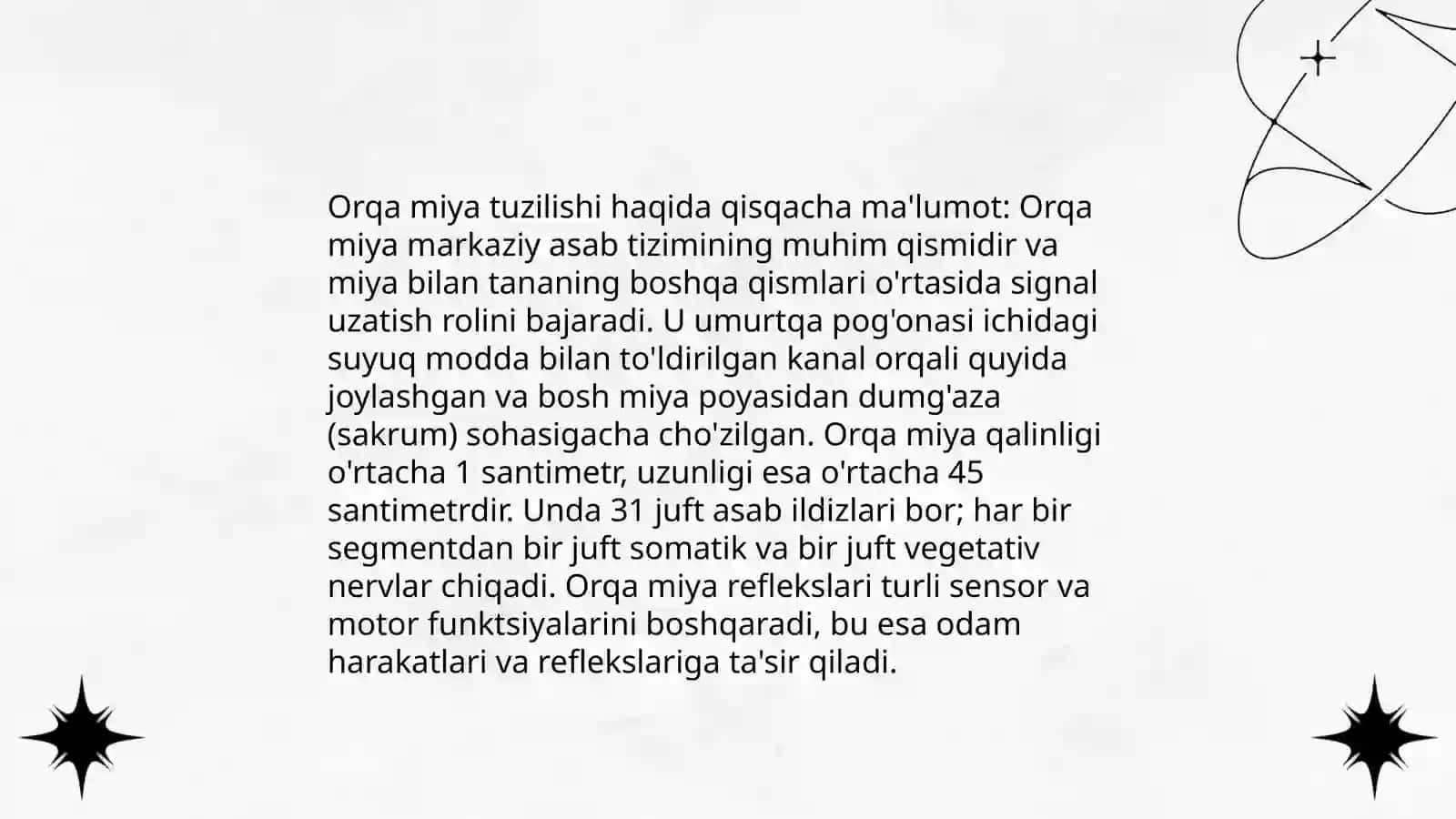Orqa miya anatomiyasi va pardalari 4
