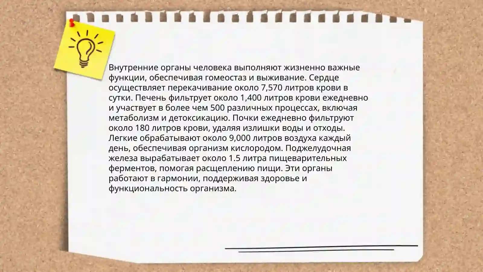 Организм как единое целое 4