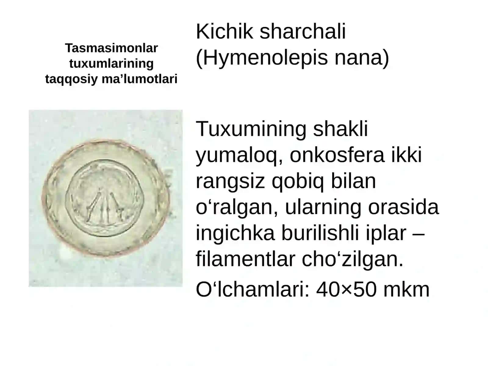 Gelmenttuxumlarinidifferentsiyalash 4