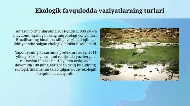 Ekologik tusdagi favqulodda vaziyatlar va ularni oldini olish choralari 4