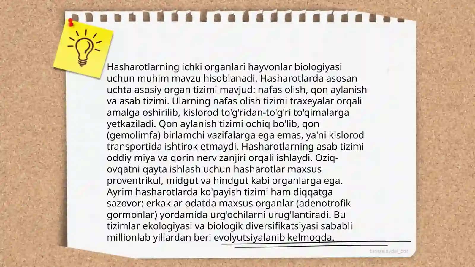 Hasharotlar morfologiyasi 4