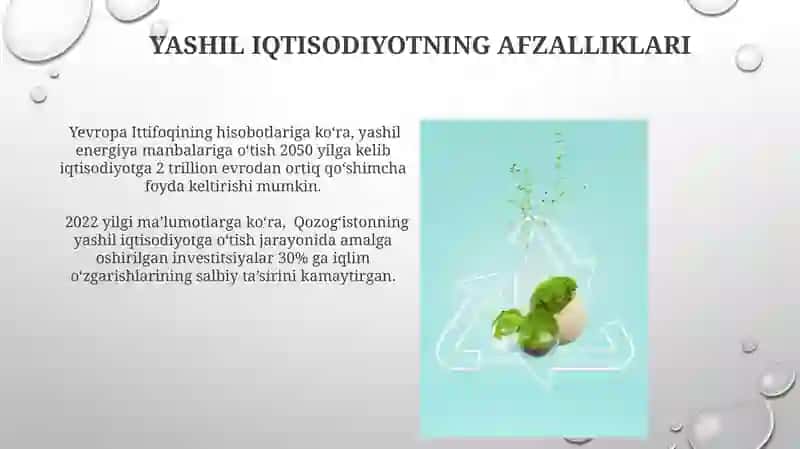 Yashil iqtisod va ekologiya 4