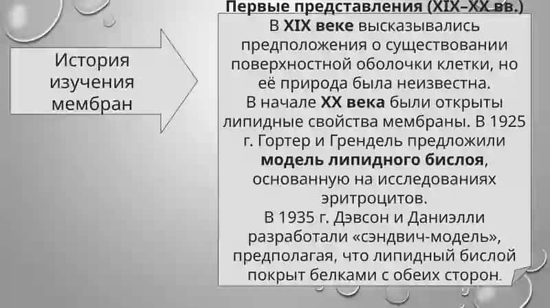 слайд,презинтация,slayd 4